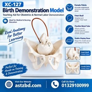 XC-127 birth demonstration model front view with pelvis and fetal figure