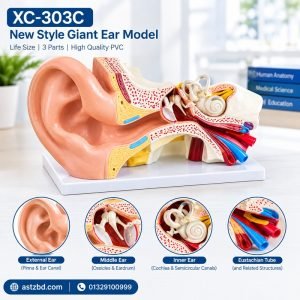 giant ear model xc-303C front view