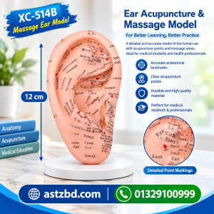 massage ear model XC-514B 12cm showing the front view with marked reflex zones