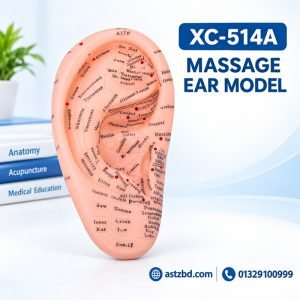 Side view of the massage ear model XC-514A with detailed PVC finish