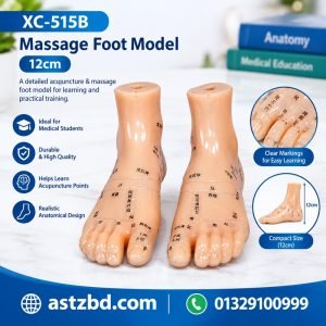 massage foot model XC-515B 12cm showing the top view with marked reflex zones