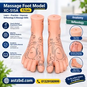 XC-515A massage foot model 17cm showing the top view with marked reflex zones